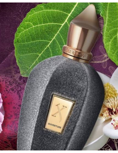 XERJOFF OUVERTURE EDP 100ML