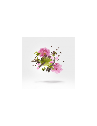 XERJOFF TEMPEST 15ML PERFUME EXTRACT