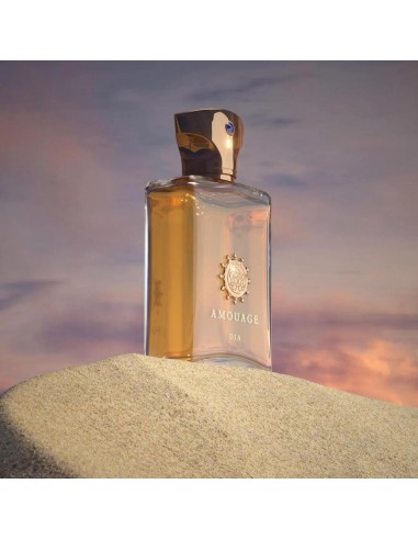 AMOUAGE DIA EDP W 100 ML