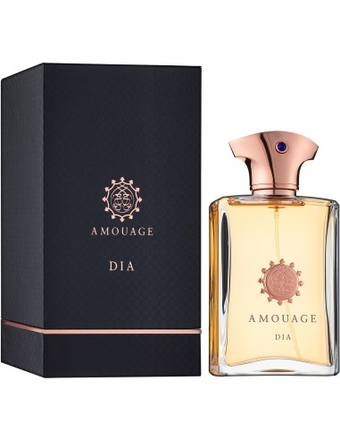 AMOUAGE DIA EDP W 100 ML