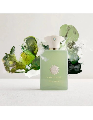 AMOUAGE MEANDER EDP U 100 ML