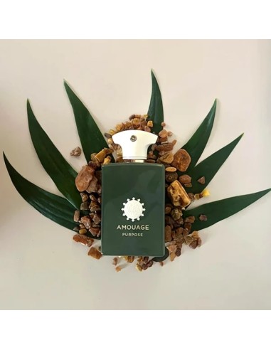 AMOUAGE PURPOSE EDP U 100 ML