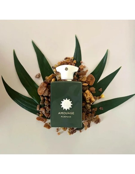 AMOUAGE PURPOSE EDP U 100 ML
