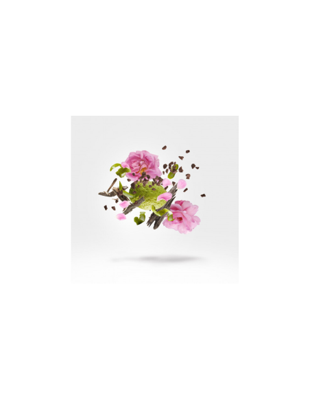 XERJOFF TEMPEST 15ML PERFUME EXTRACT